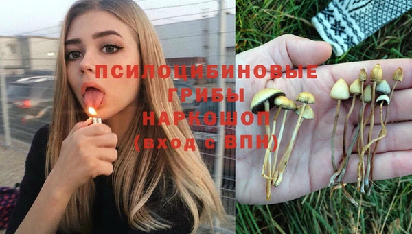каннабис Алзамай