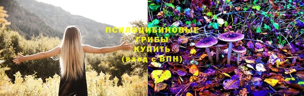 герыч Алексин