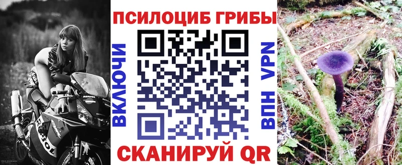 Галлюциногенные грибы прущие грибы  Учалы 